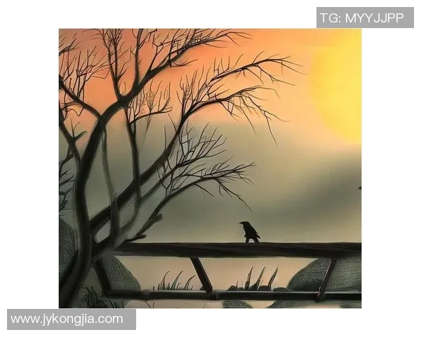 探索奥蓬达的魅力与历史深度，揭示其在当代文化中的独特地位与影响力